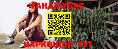 стаф Тула