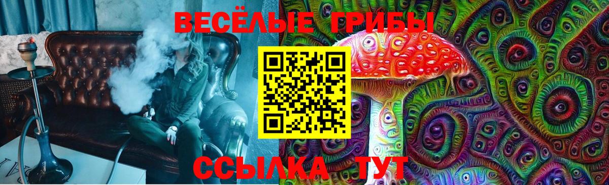 Галлюциногенные грибы мухоморы Выборг