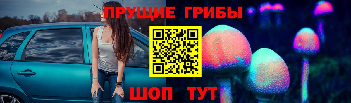 Выборг  Псилоцибиновые грибы мухоморы  даркнет сайт  Вход с VPN 